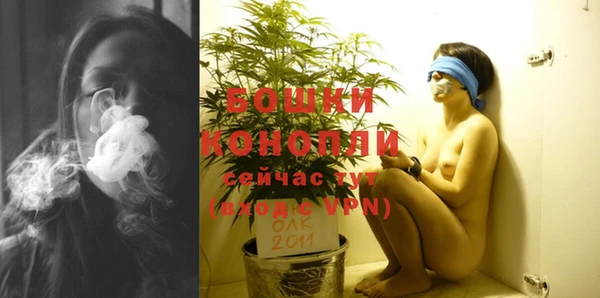 spice Ладушкин