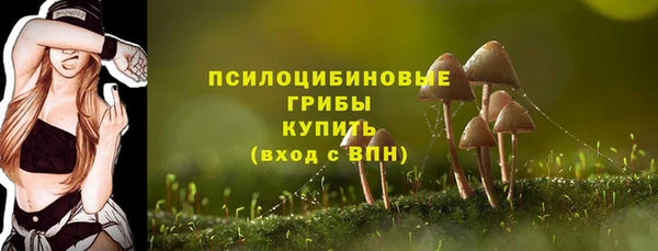 тгк Кукмор