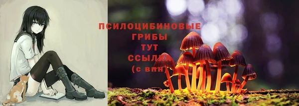 mdpv Лабытнанги