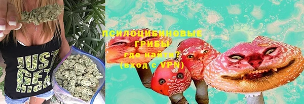 mdpv Лабытнанги
