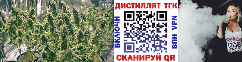 Дистиллят ТГК гашишное масло omg вход Чекалин